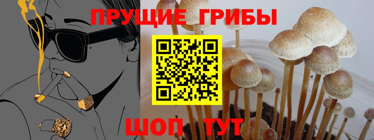 Галлюциногенные грибы мицелий Гусиноозёрск